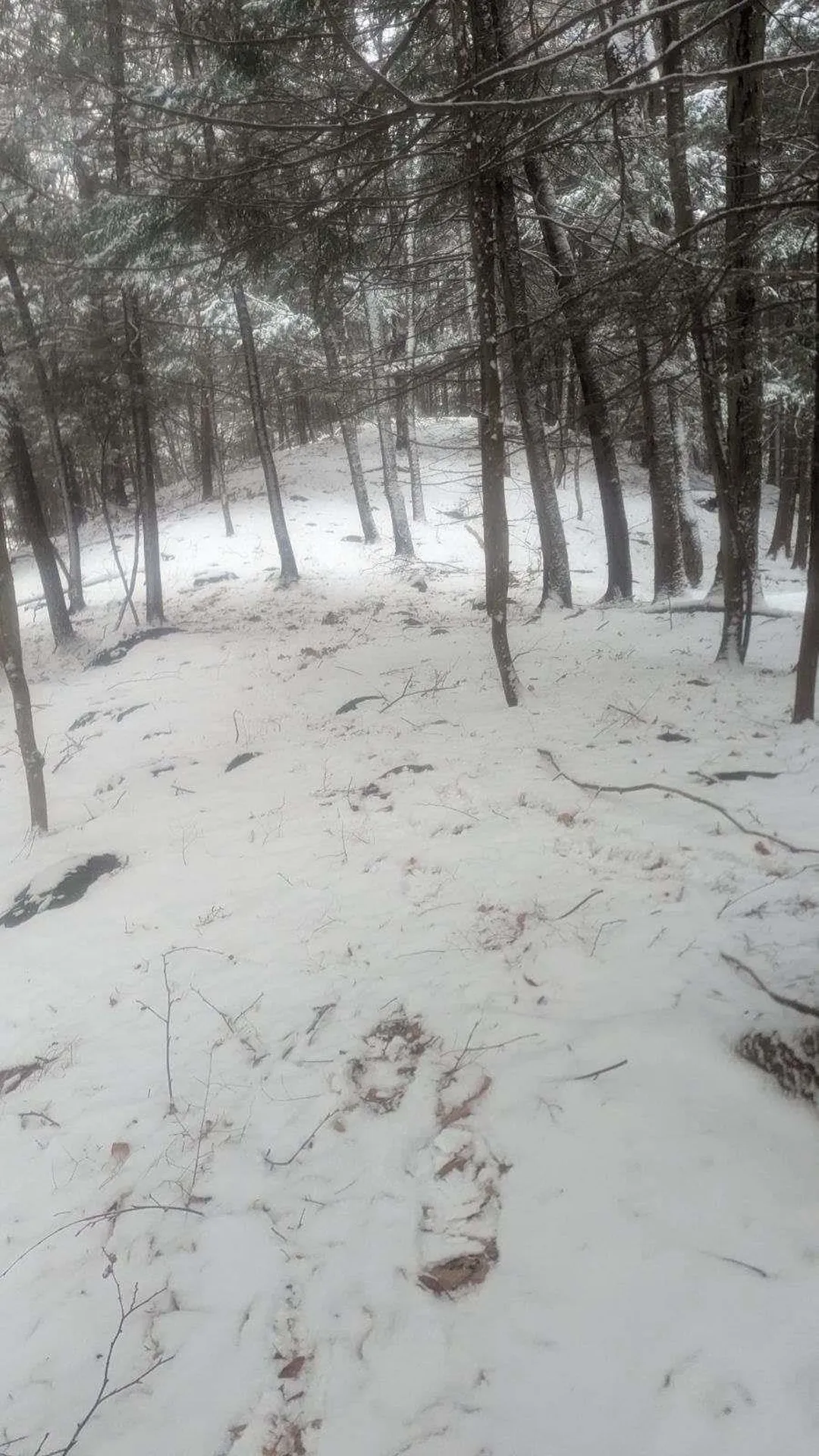 495 South Mendon Street Mendon VT 05701