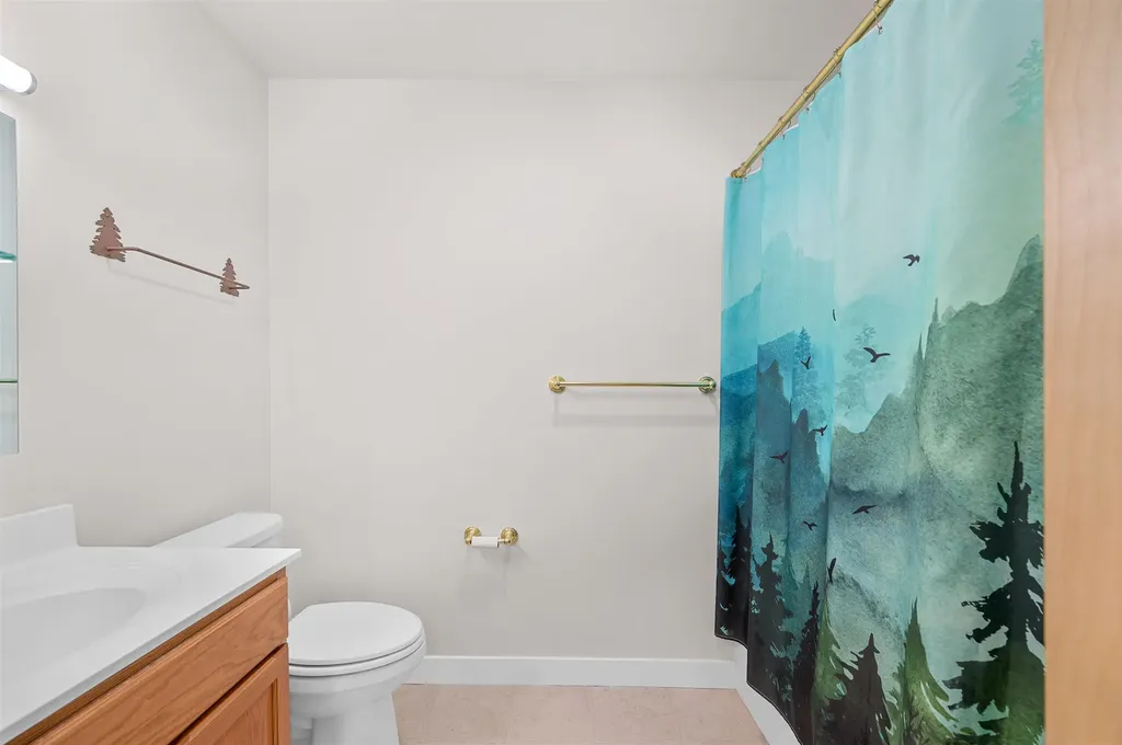 251 Mountainside Drive Warren VT 05674