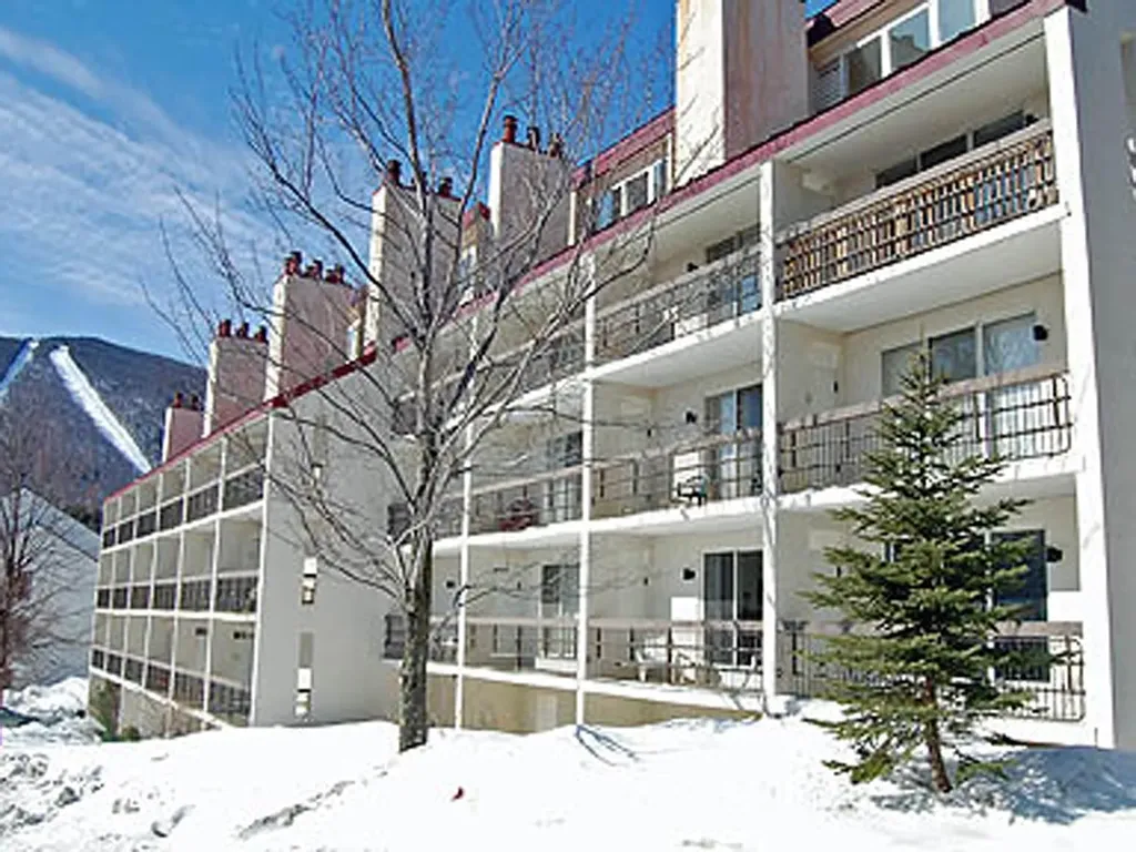 251 Mountainside Drive Warren VT 05674