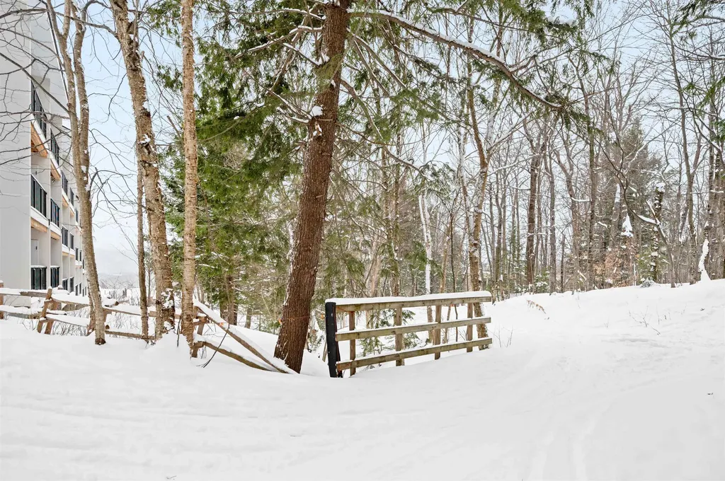 251 Mountainside Drive Warren VT 05674