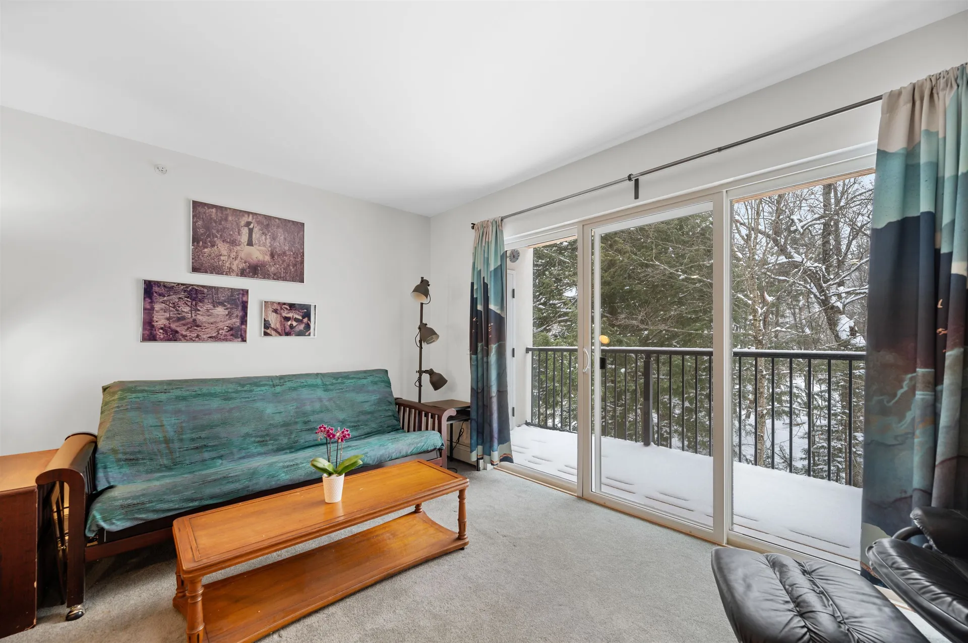 251 Mountainside Drive Warren VT 05674