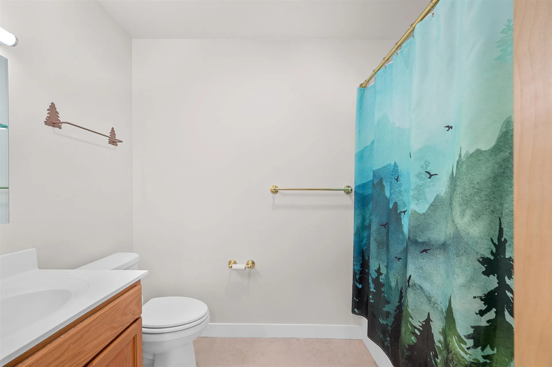 251 Mountainside Drive Warren VT 05674