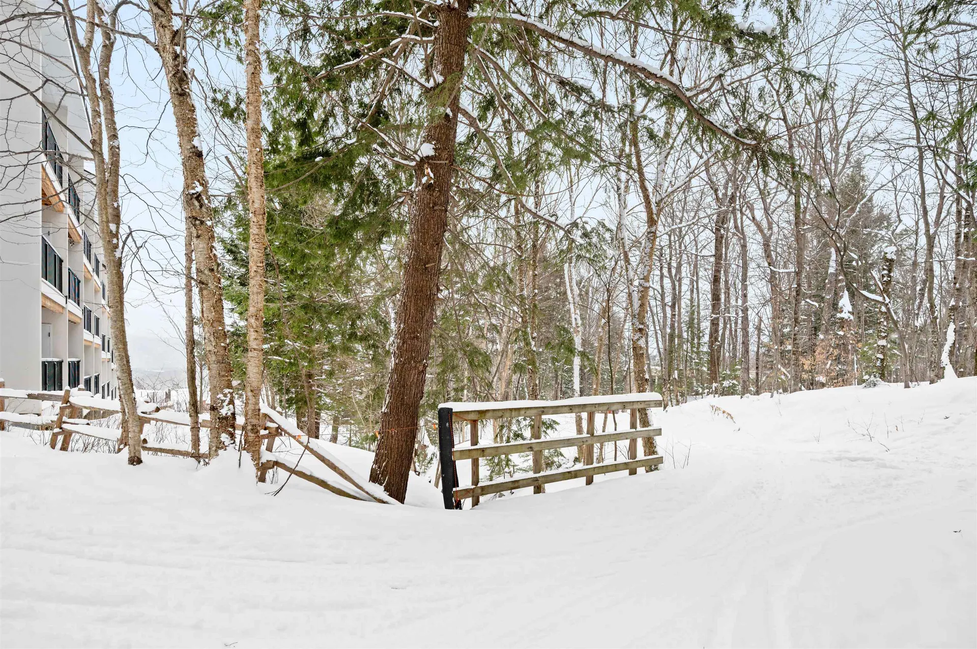 251 Mountainside Drive Warren VT 05674