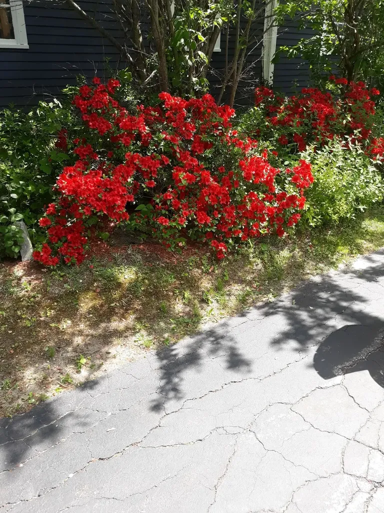 187 King Street Boscawen NH 03303