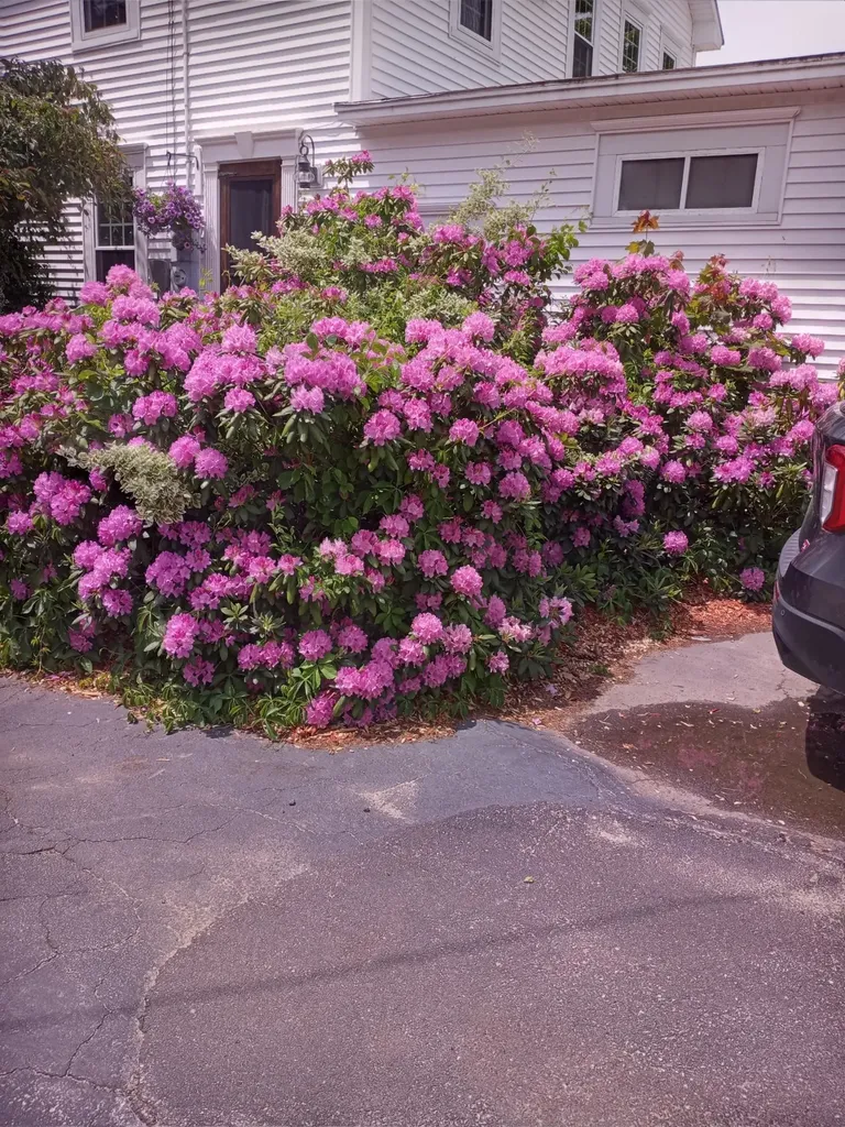 187 King Street Boscawen NH 03303