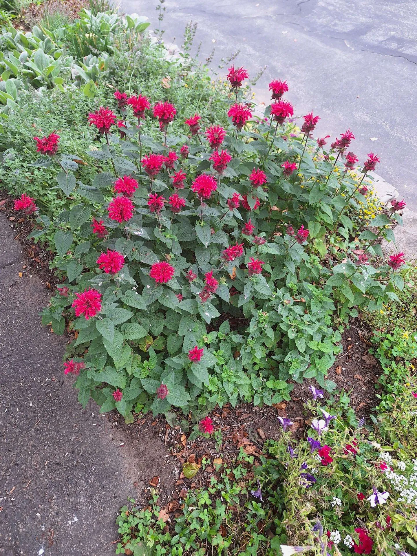 187 King Street Boscawen NH 03303