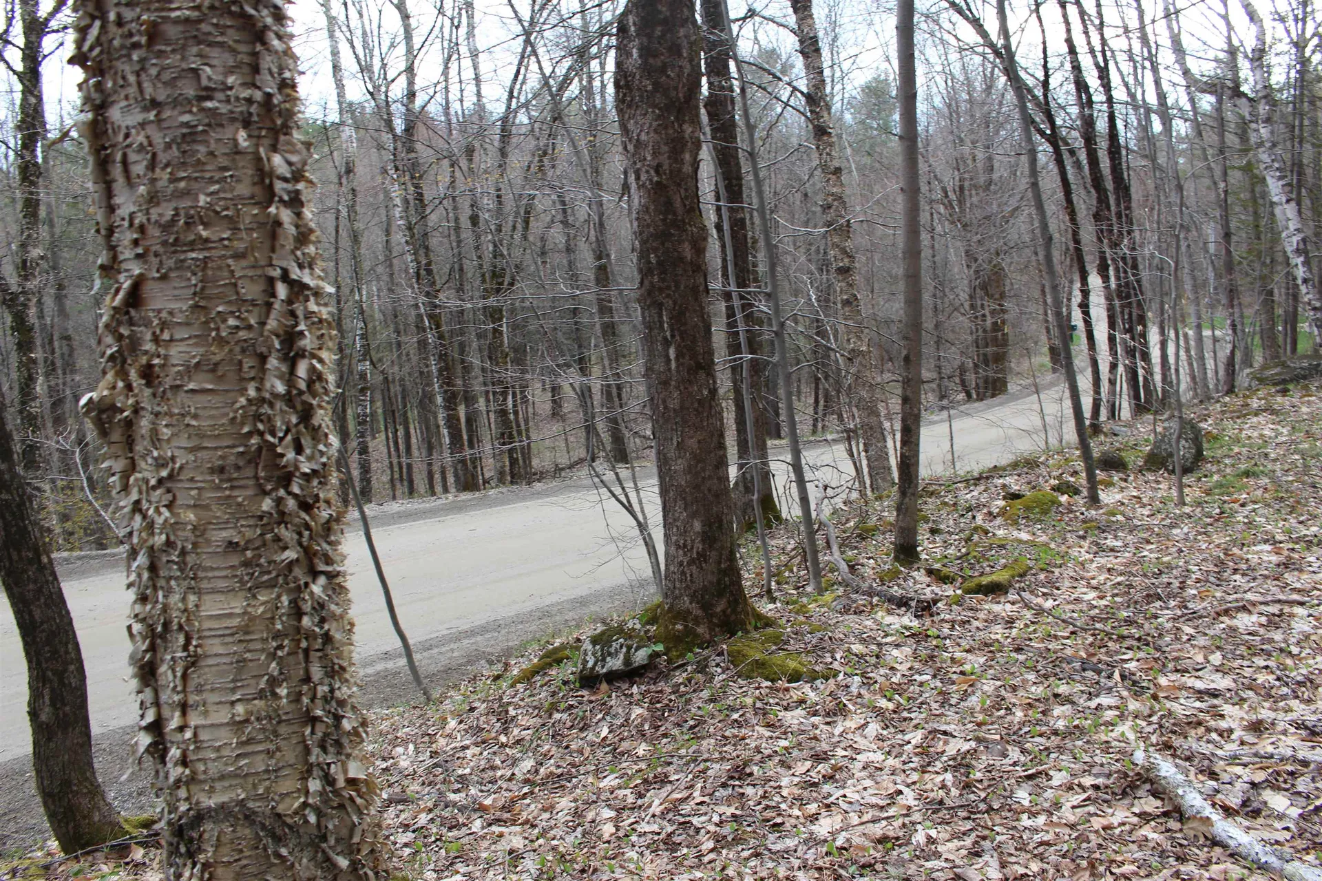 0 Upper Meehan Road Bristol VT 05443