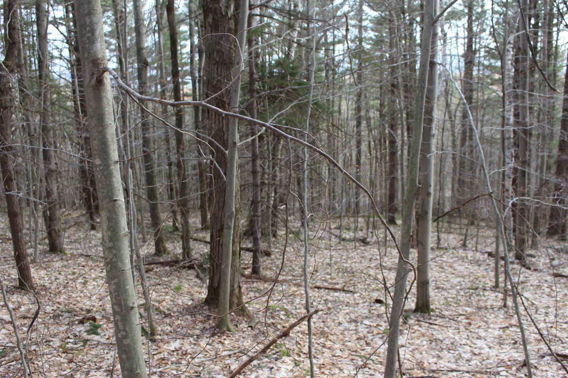 0 Upper Meehan Road Bristol VT 05443