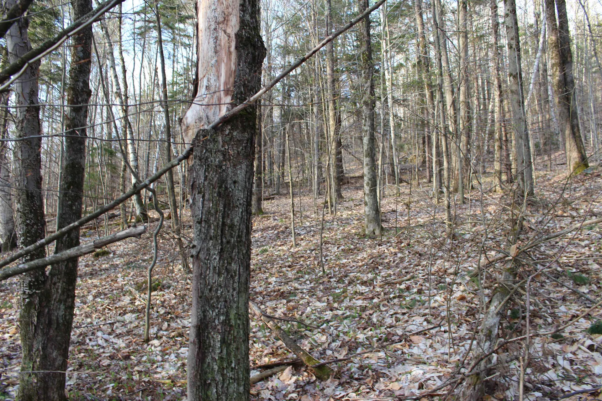 0 Upper Meehan Road Bristol VT 05443