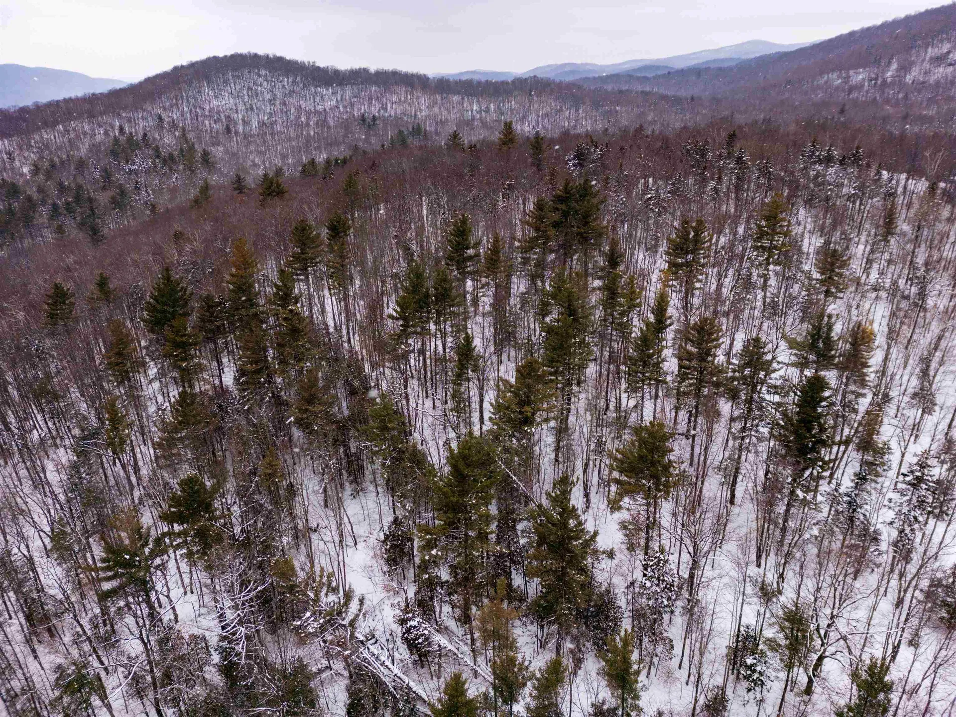 0 Upper Meehan Road Bristol VT 05443