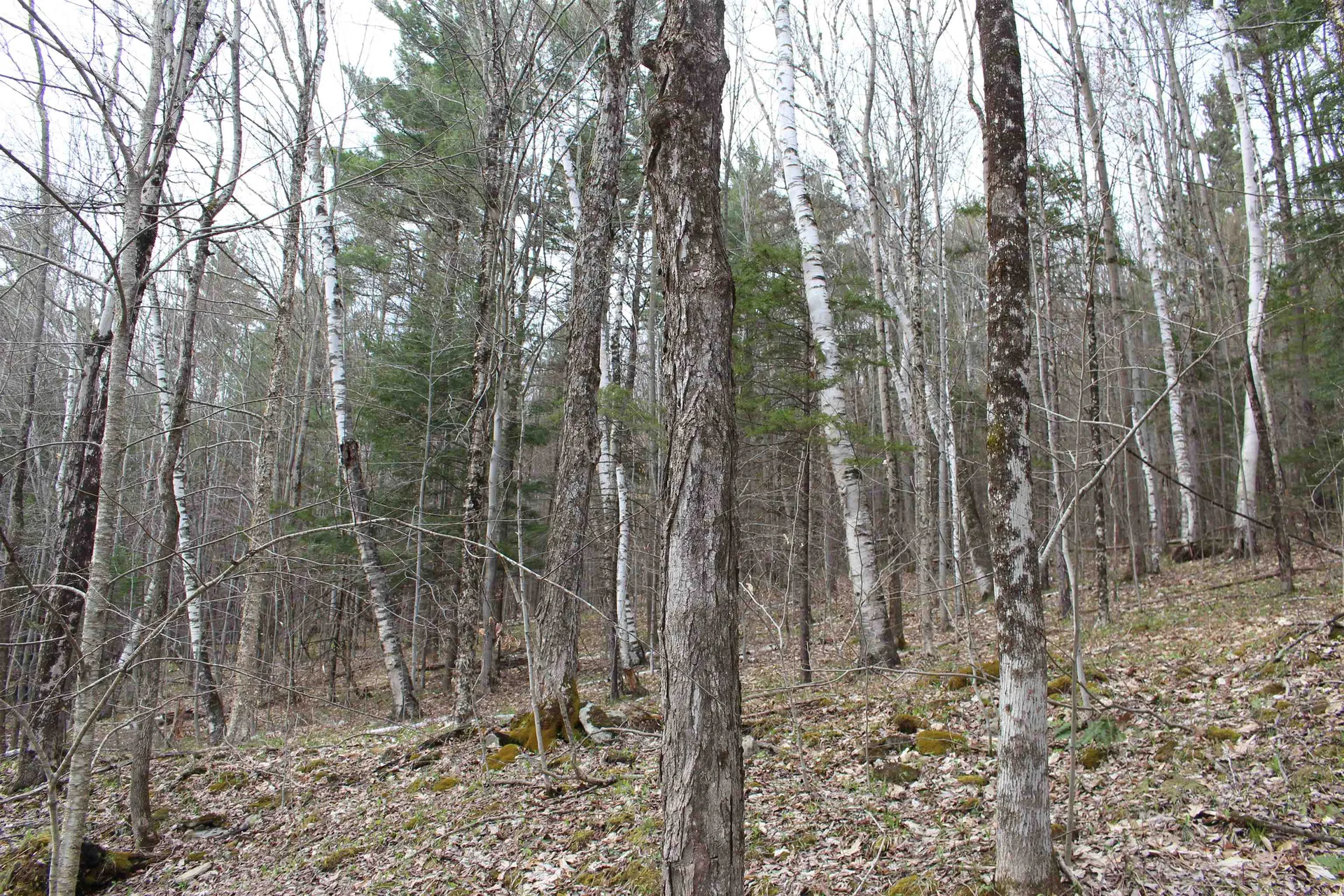 0 Upper Meehan Road Bristol VT 05443