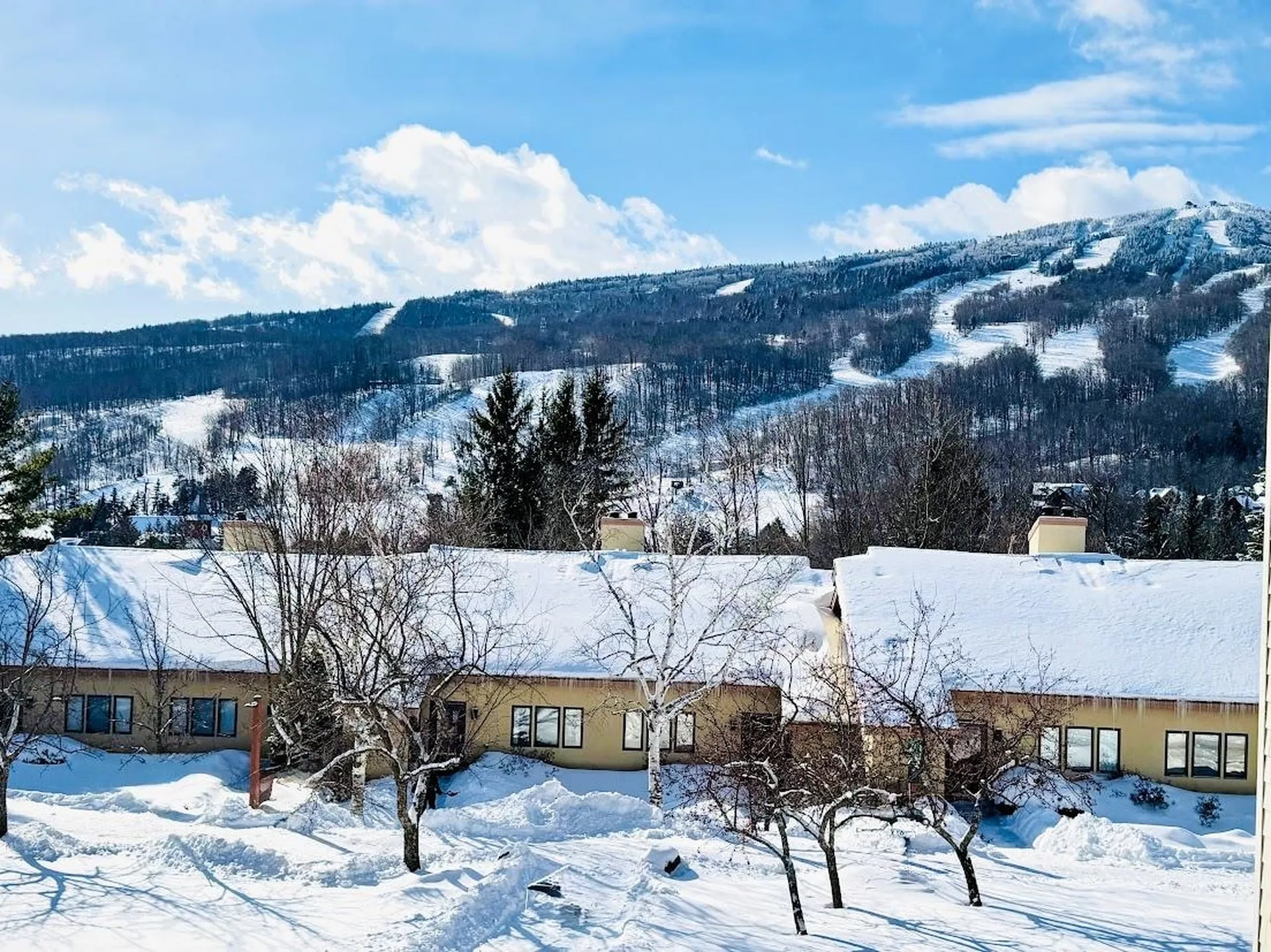 15a Mountain Village Dover VT 05356