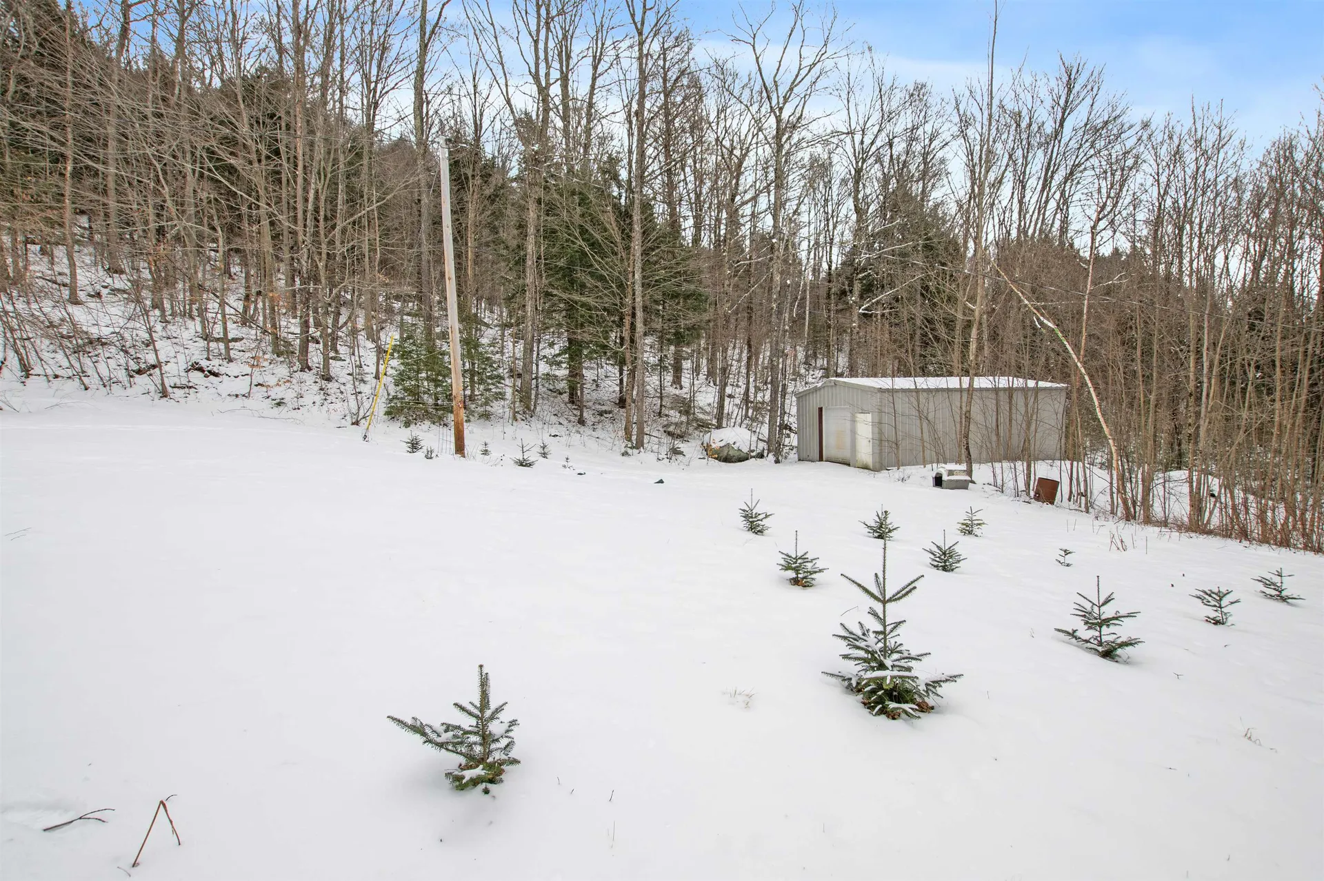 142 Silver Springs Drive Lempster NH 03605