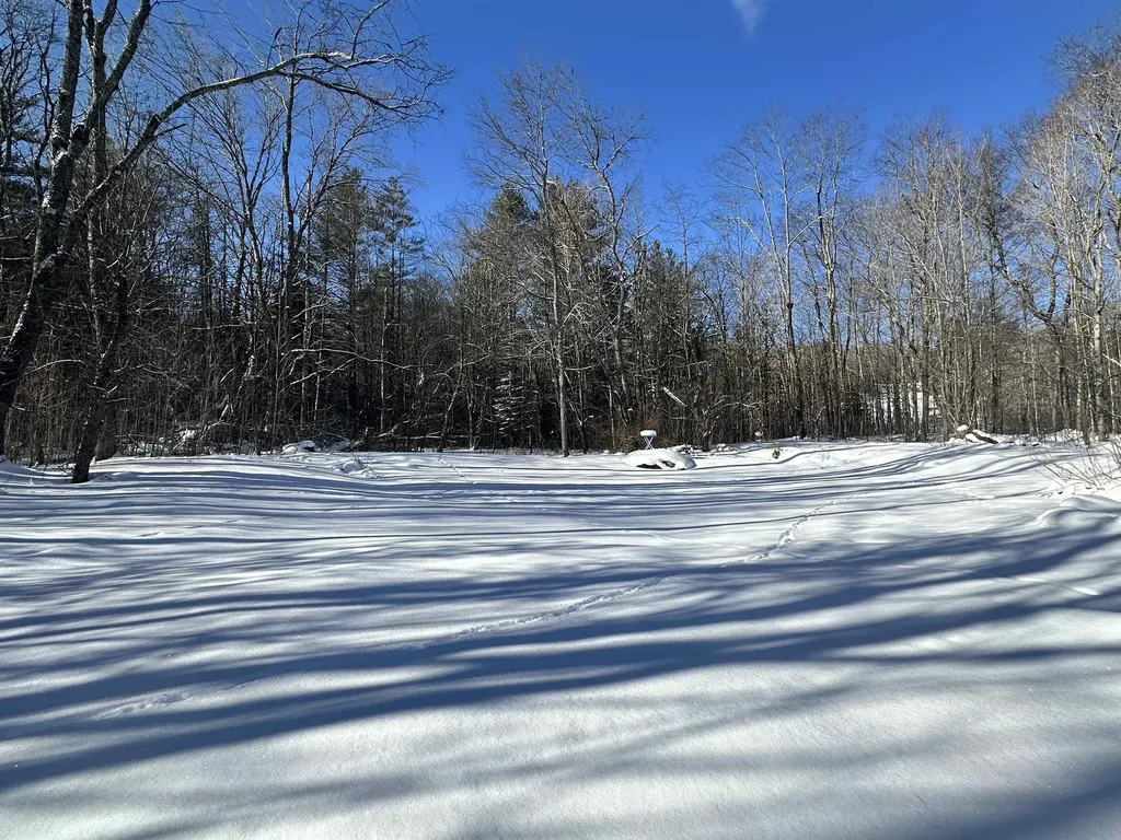 2054 Route 155 Mount Holly VT 05742