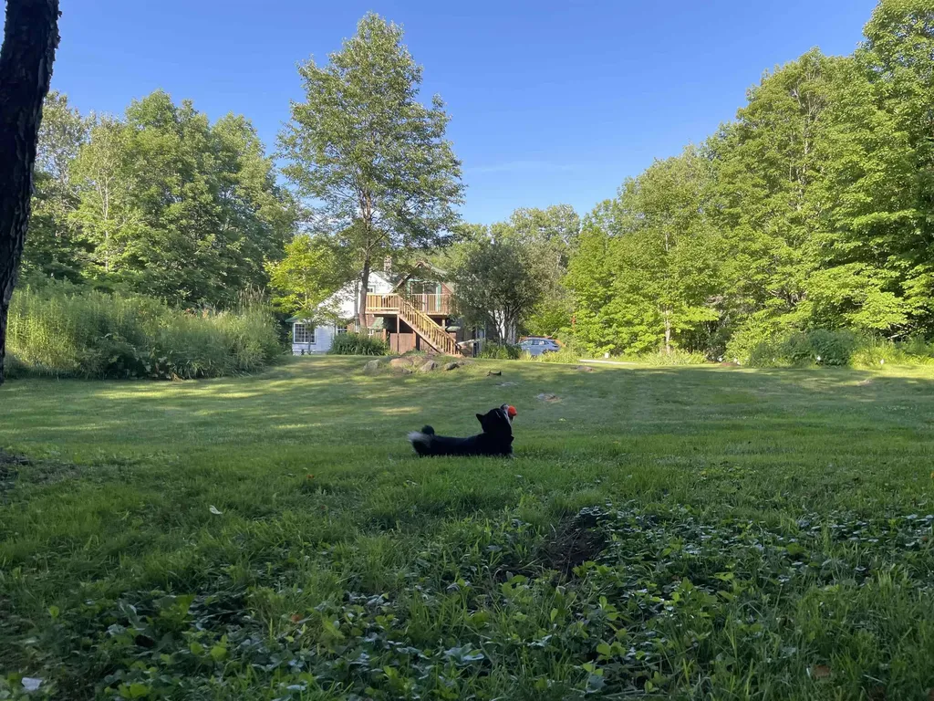 2054 Route 155 Mount Holly VT 05742