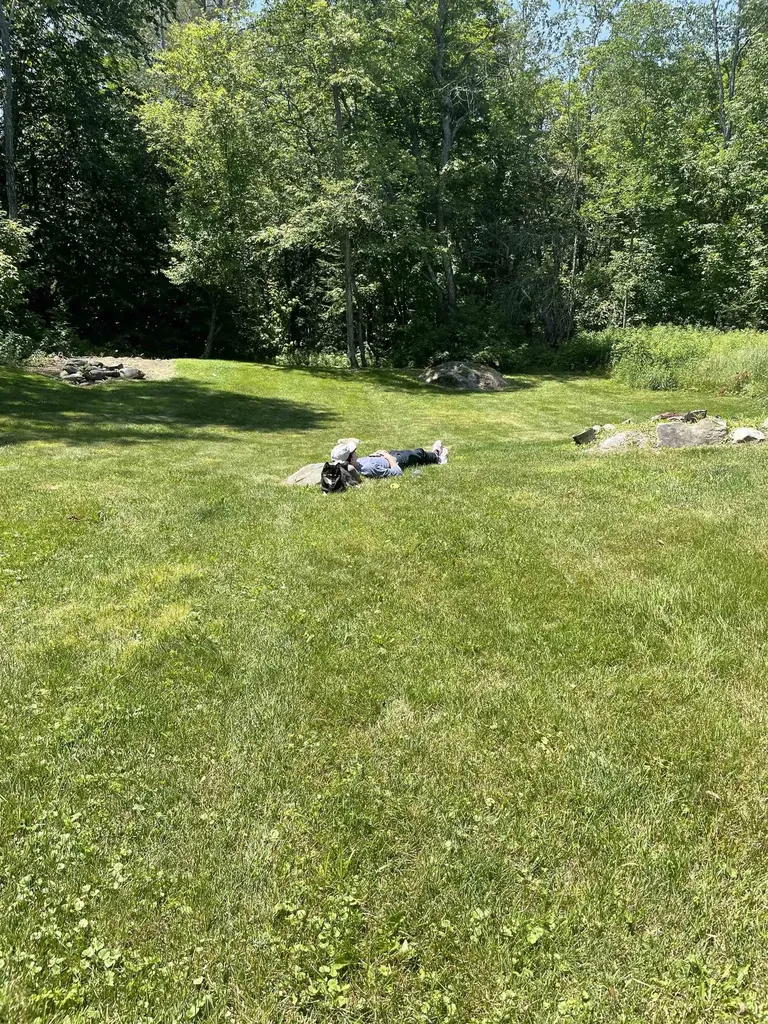 2054 Route 155 Mount Holly VT 05742