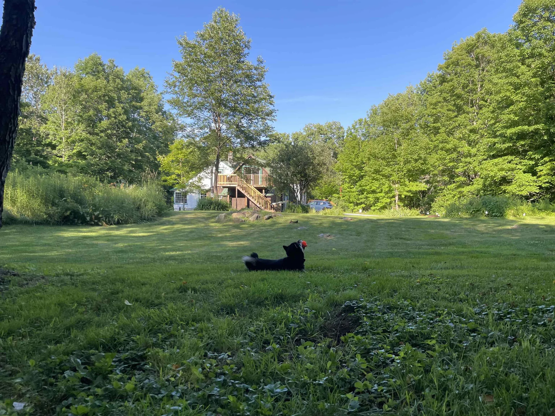 2054 Route 155 Mount Holly VT 05742