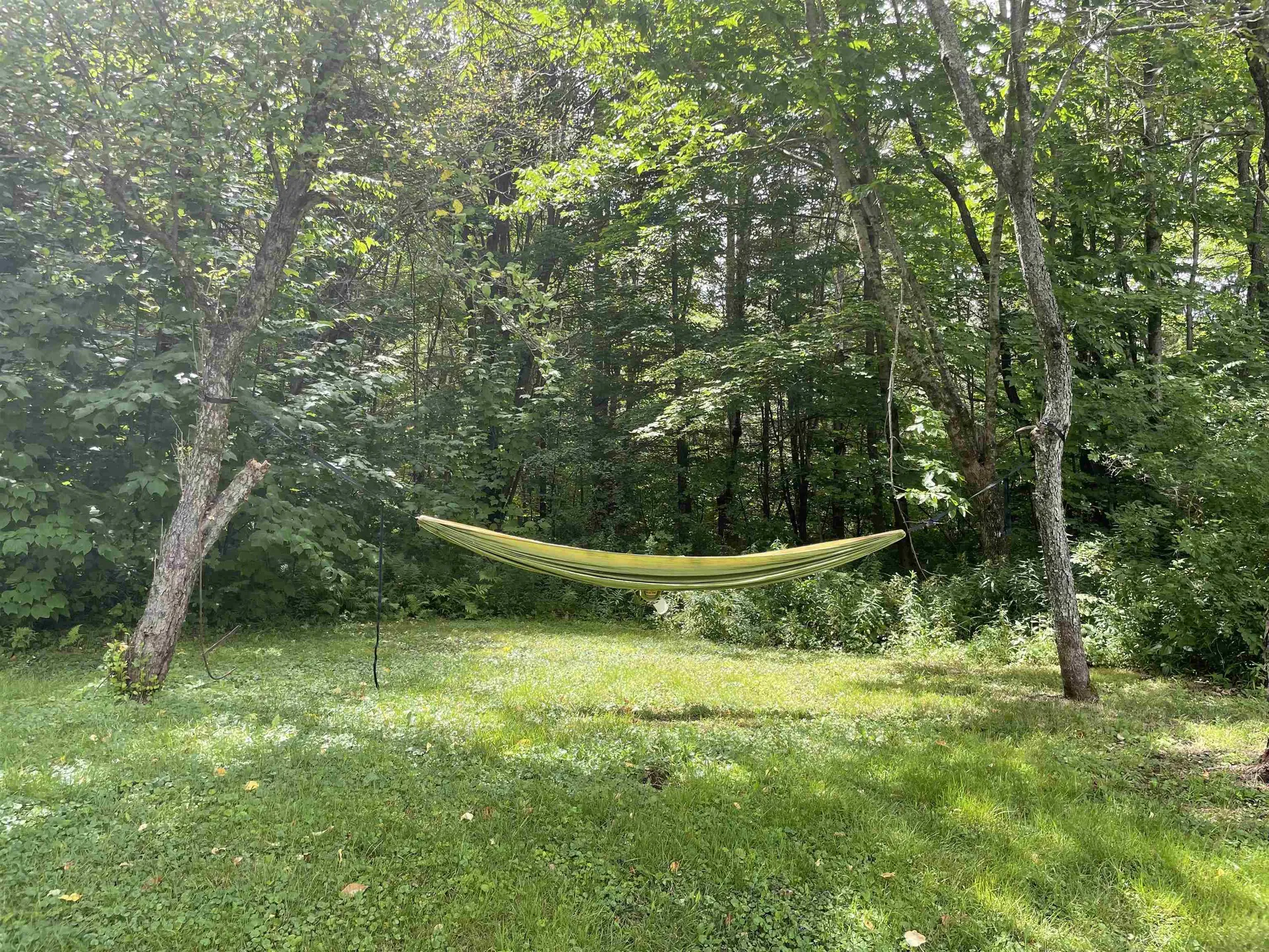 2054 Route 155 Mount Holly VT 05742