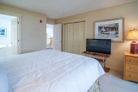 51 Alpine Way Ludlow VT 05149