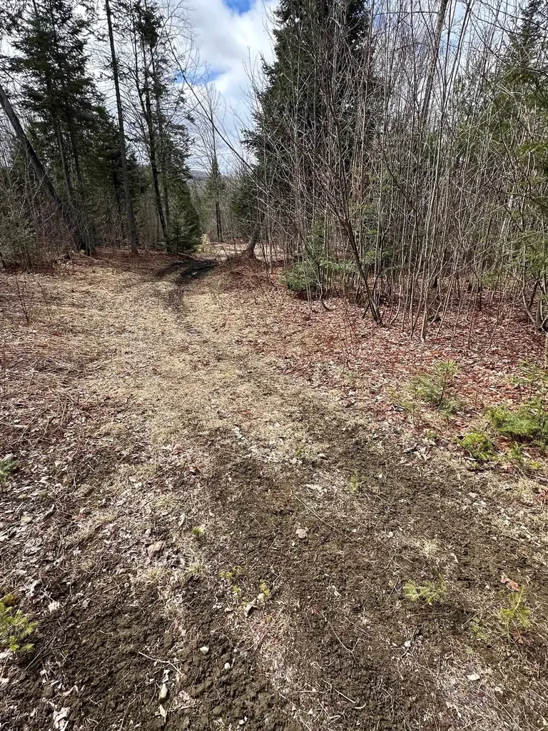 1412 Bean Pond Road Wheelock VT 05851