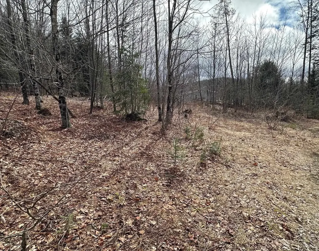 1412 Bean Pond Road Wheelock VT 05851