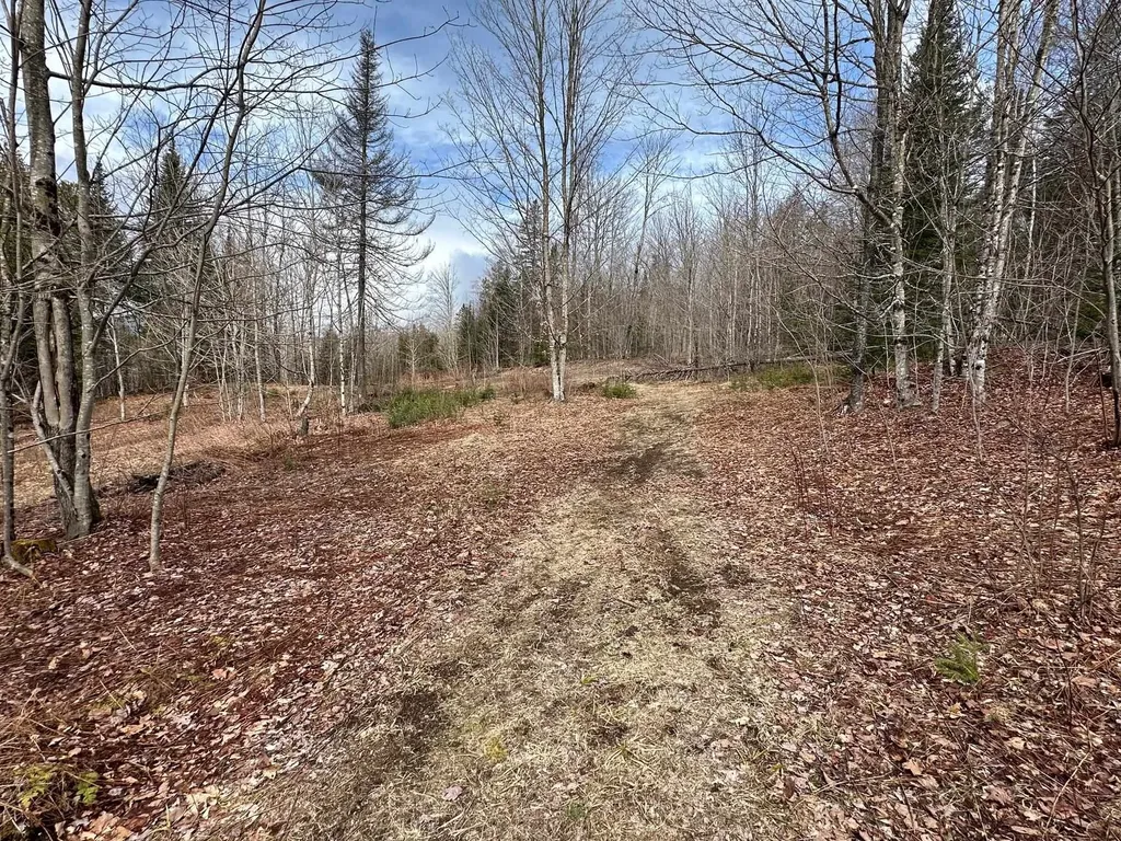 1412 Bean Pond Road Wheelock VT 05851