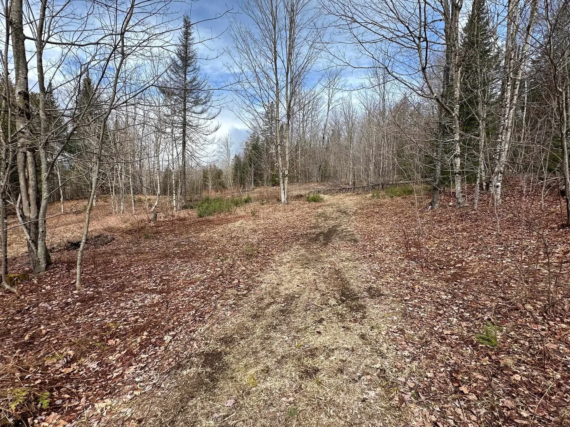 1412 Bean Pond Road Wheelock VT 05851