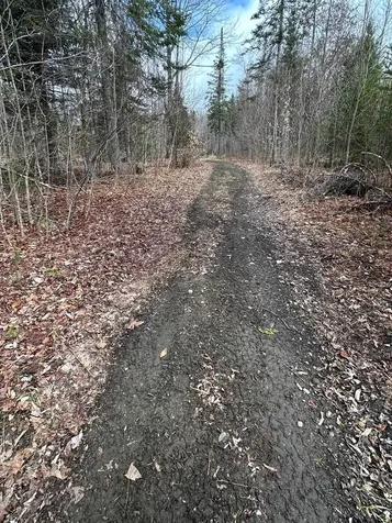 1412 Bean Pond Road Wheelock VT 05851