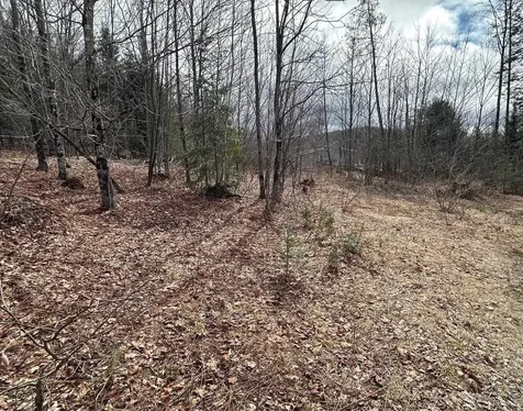 1412 Bean Pond Road Wheelock VT 05851