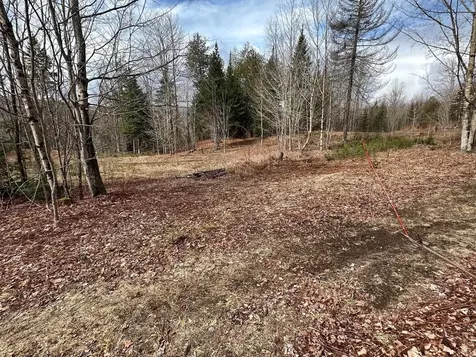 1412 Bean Pond Road Wheelock VT 05851