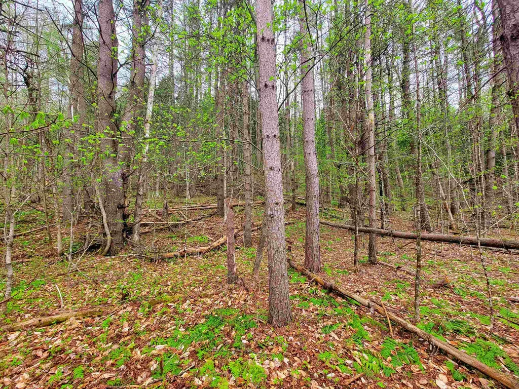 12 Meadowbrook Lane Chelsea VT 05038