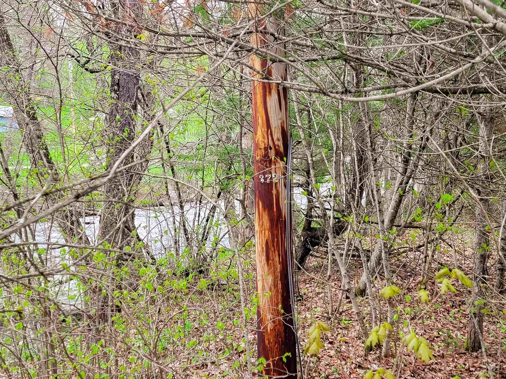 12 Meadowbrook Lane Chelsea VT 05038