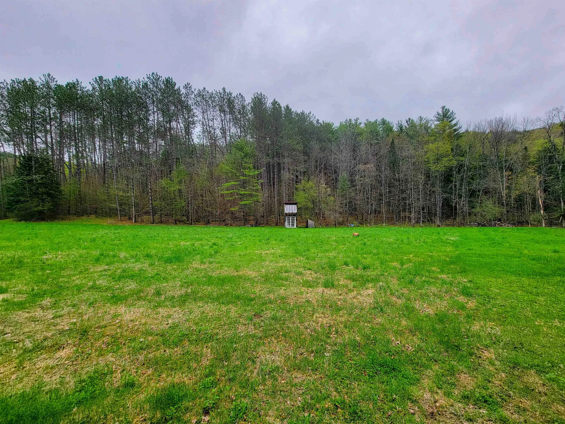 12 Meadowbrook Lane Chelsea VT 05038