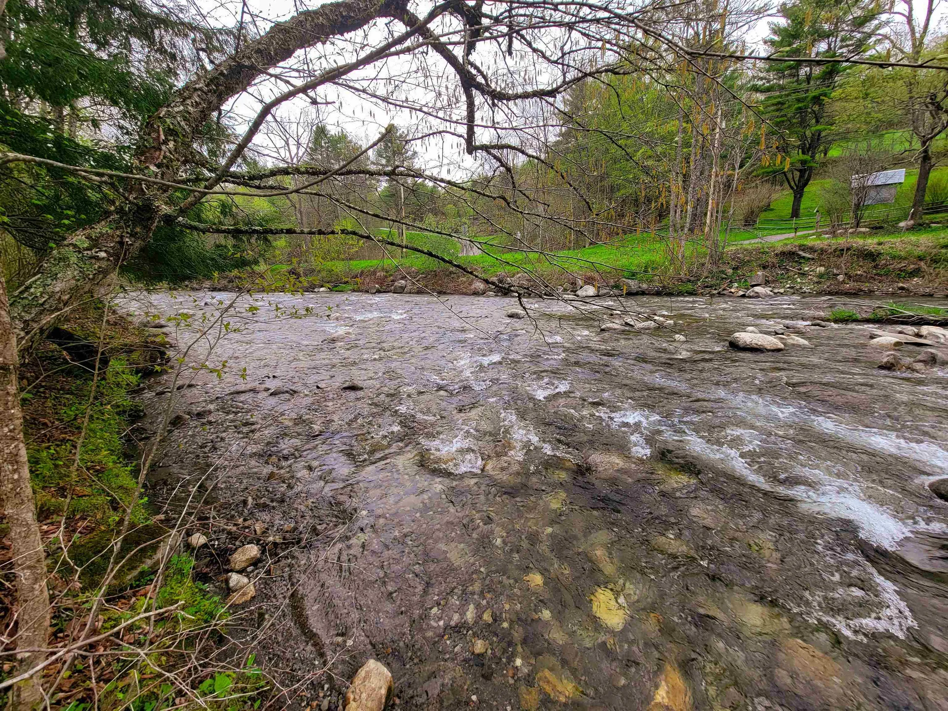 12 Meadowbrook Lane Chelsea VT 05038