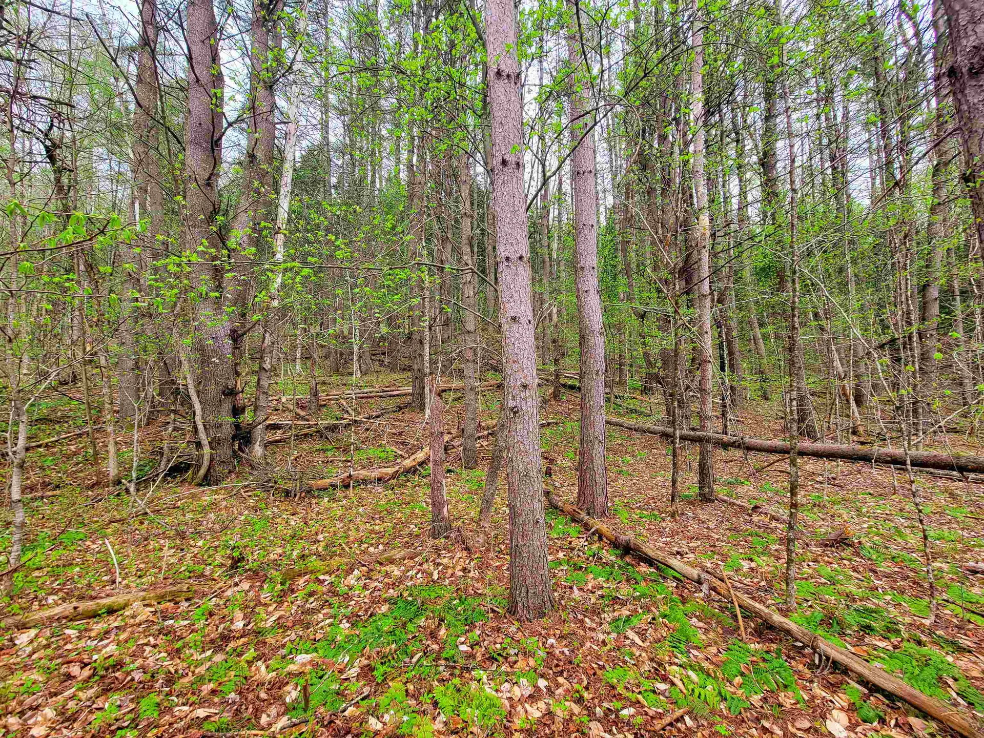 12 Meadowbrook Lane Chelsea VT 05038