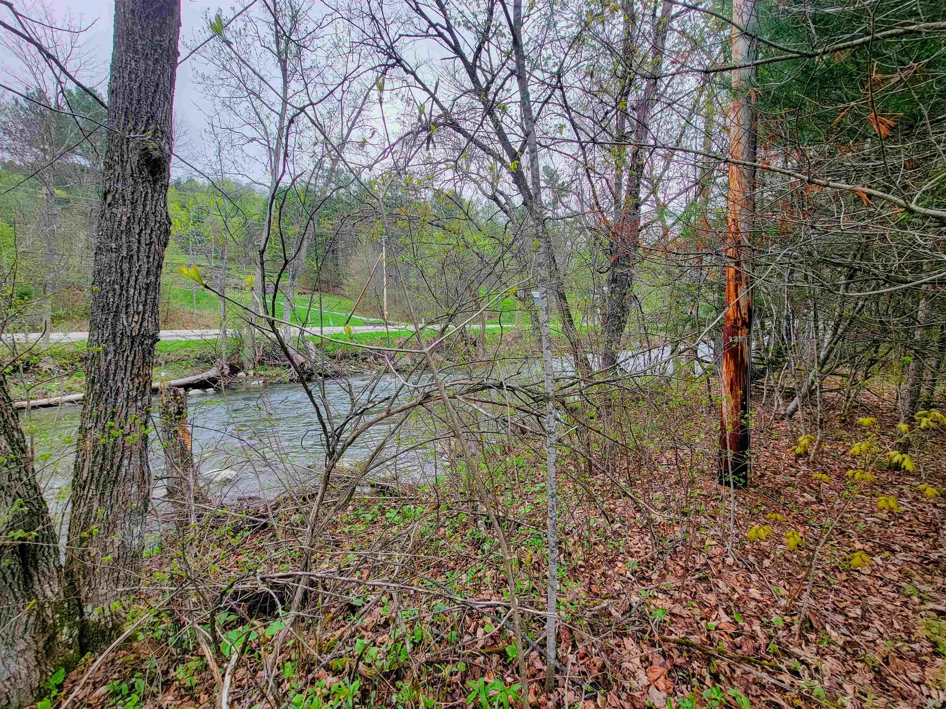 12 Meadowbrook Lane Chelsea VT 05038