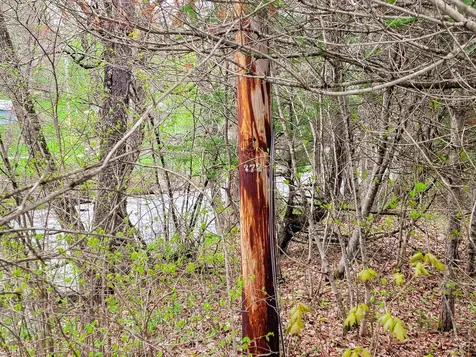 12 Meadowbrook Lane Chelsea VT 05038