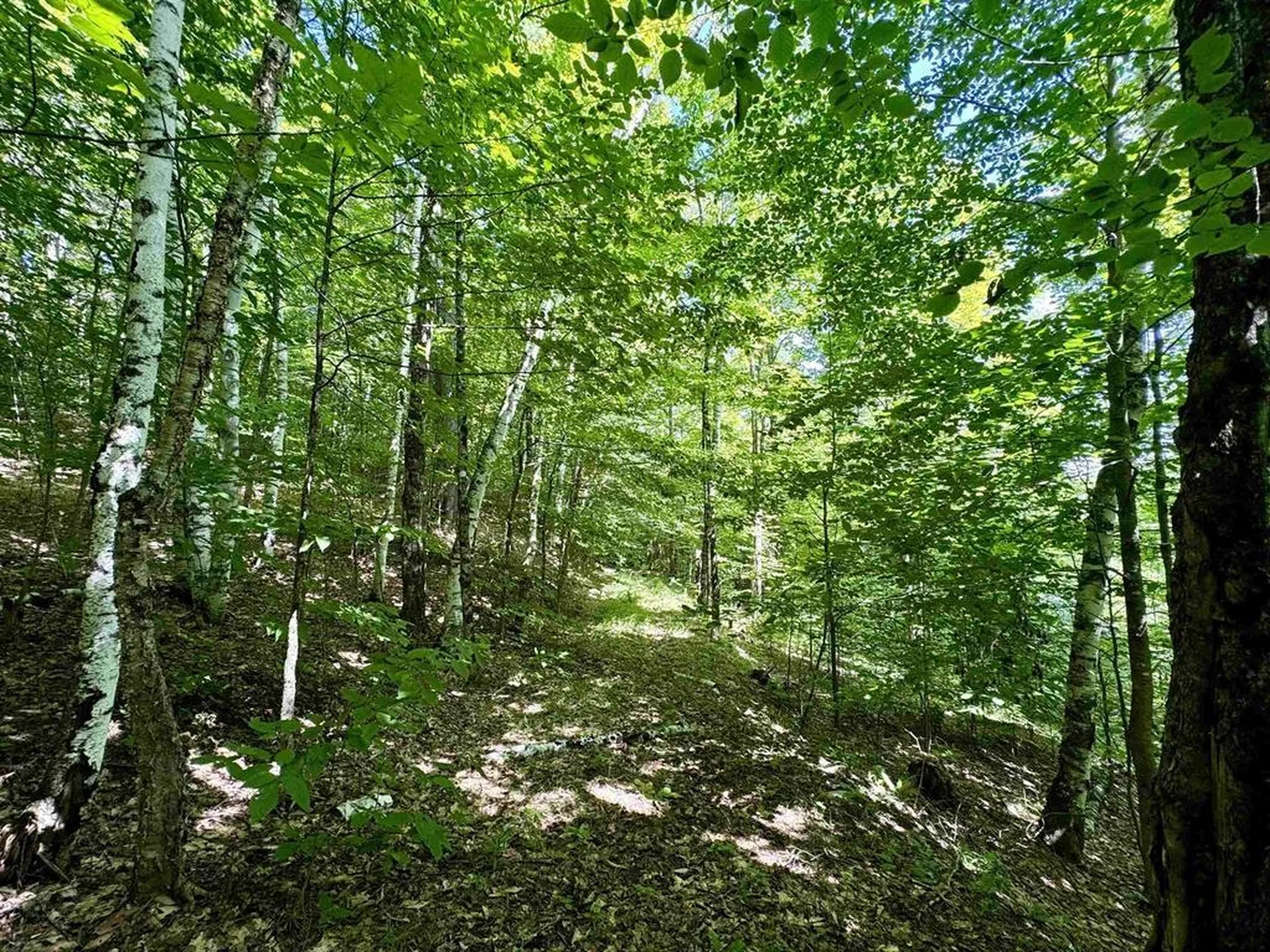 0 Crosby Road Topsham VT 05076