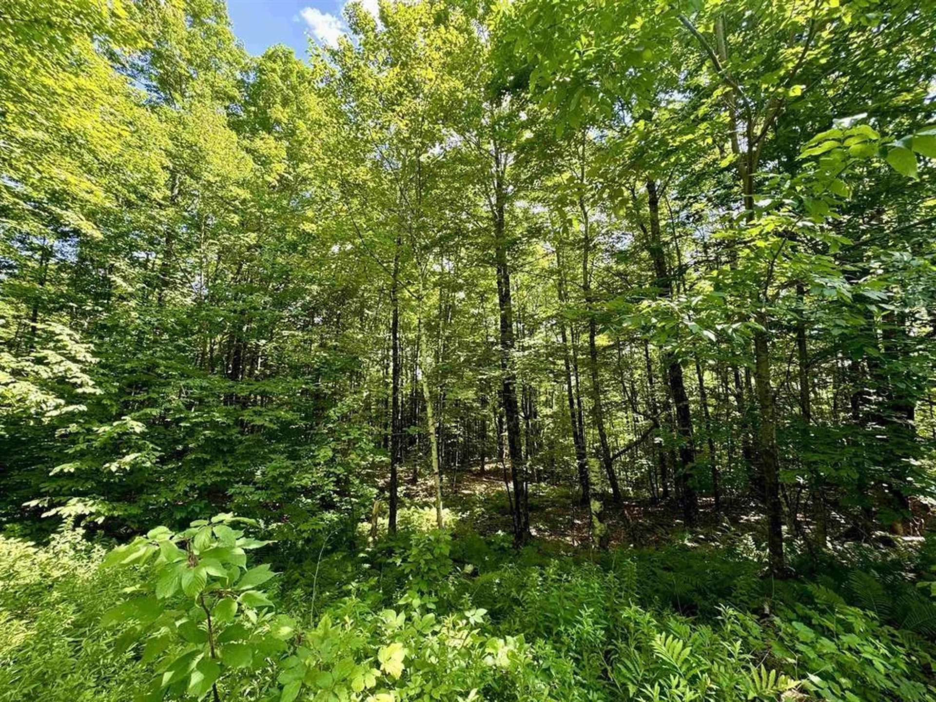 0 Crosby Road Topsham VT 05076