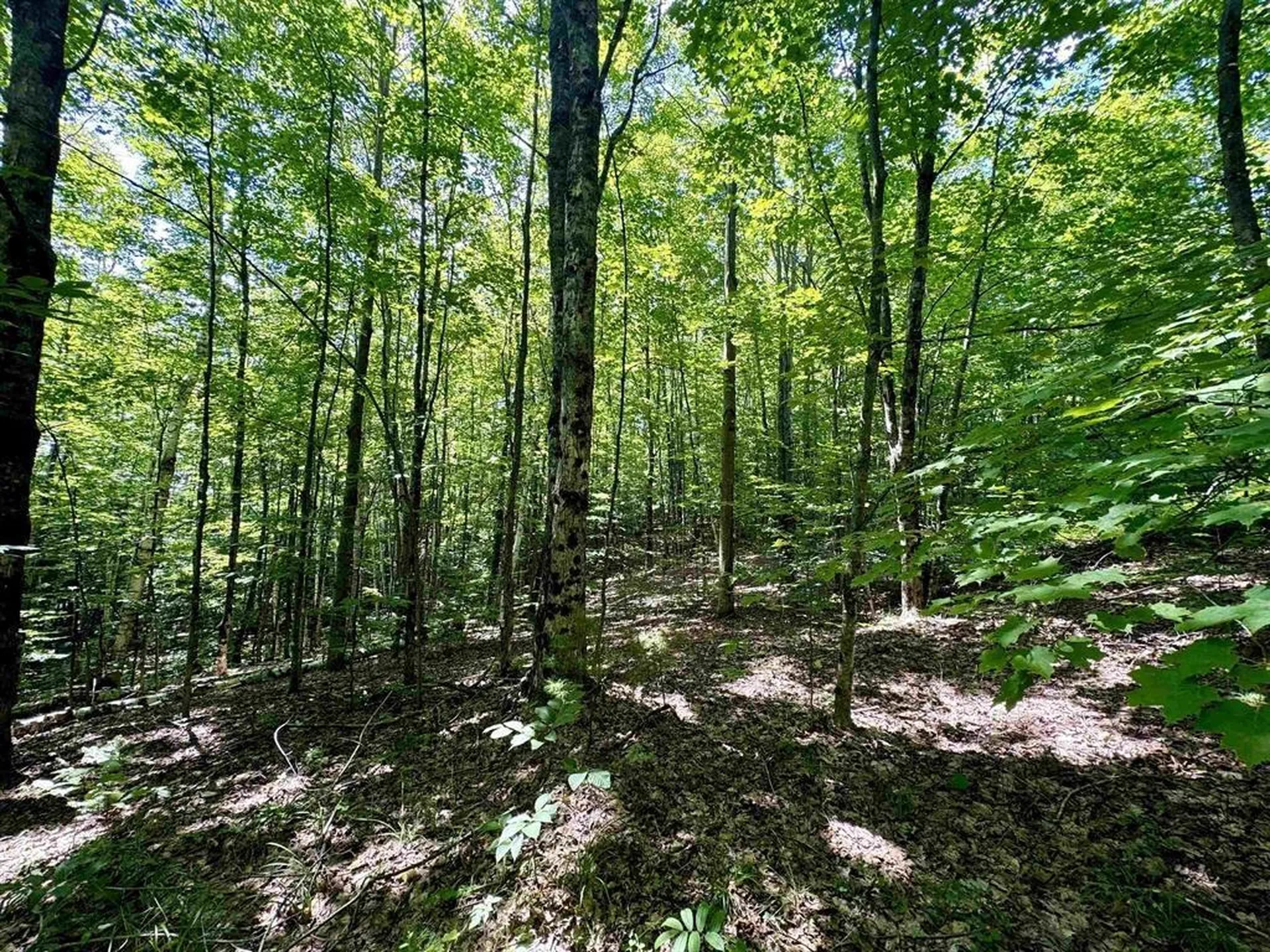 0 Crosby Road Topsham VT 05076