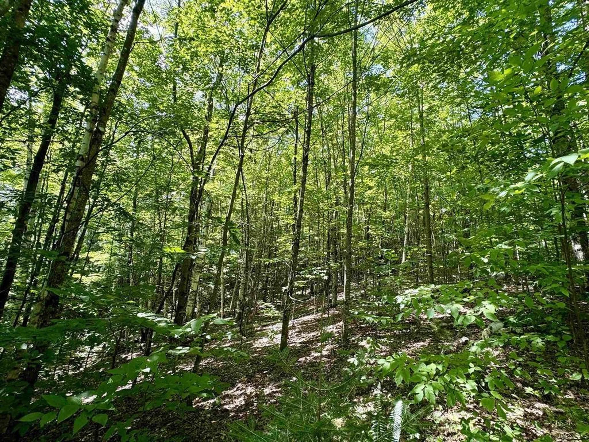 0 Crosby Road Topsham VT 05076