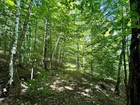0 Crosby Road Topsham VT 05076