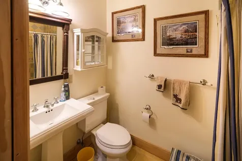 241 Bear Hill Road Plymouth VT 05056
