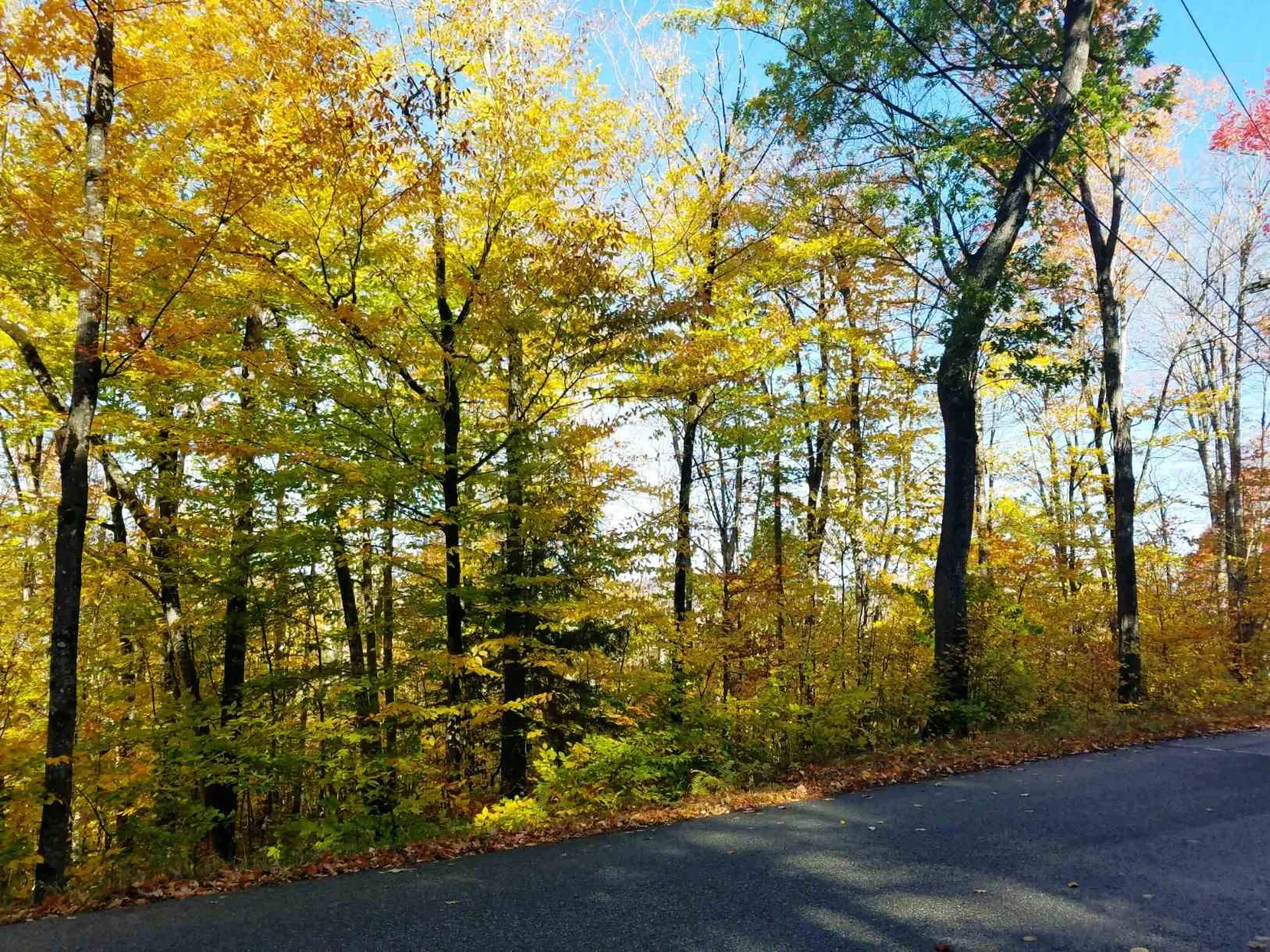 23-11 Schuyler Drive Campton NH 03223