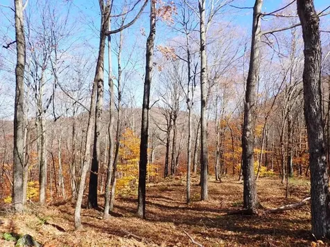 0 Chunks Brook Road Sandgate VT 05250