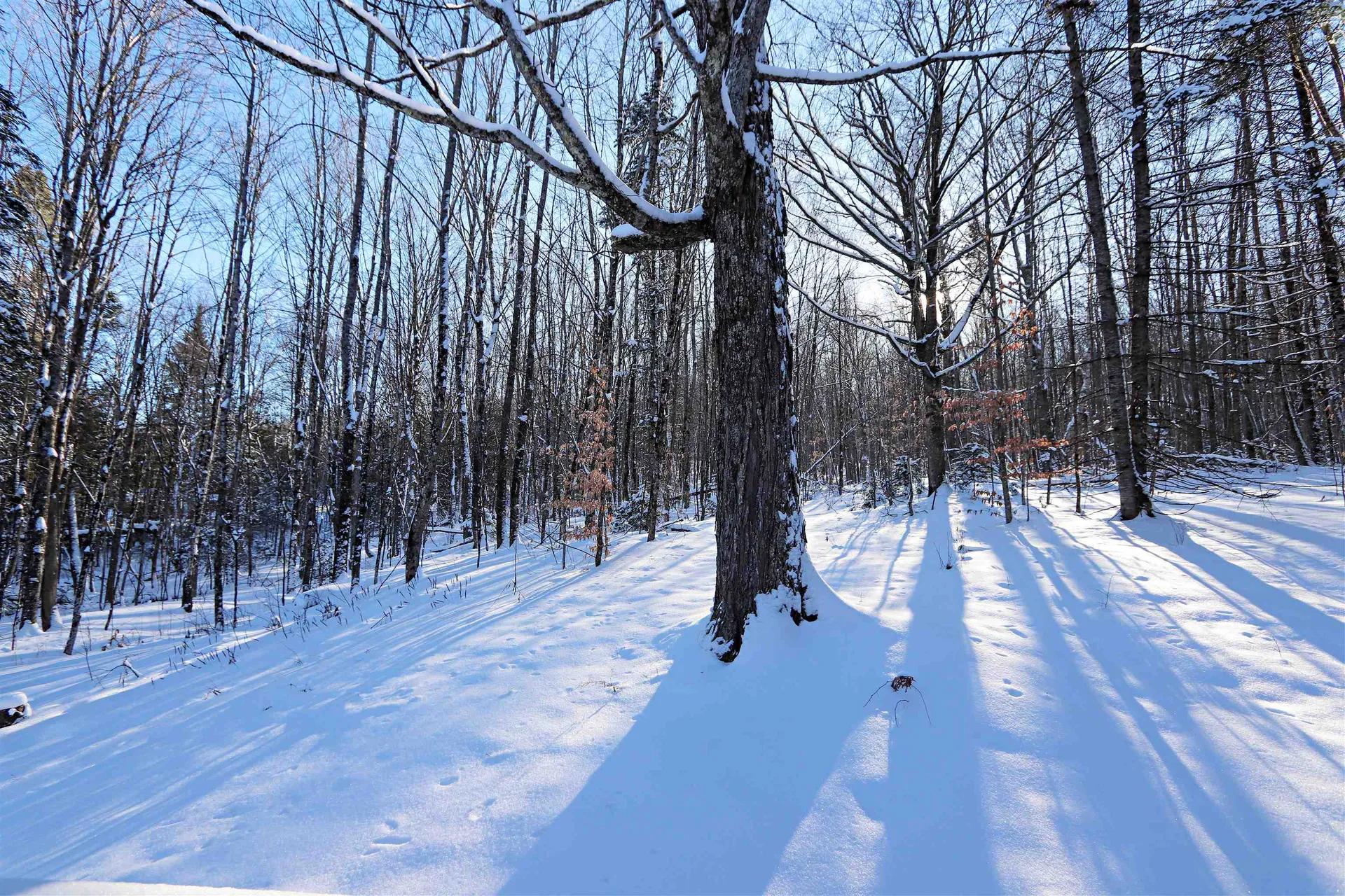 829 Cotton Road Lyndon VT 05851