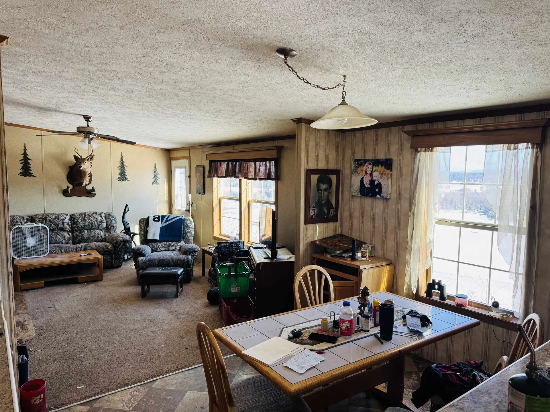 670 Simino Lane Irasburg VT 05845