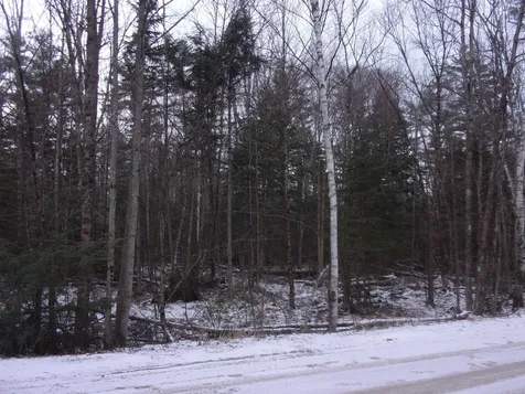 Vernon Drive Haverhill NH 03765