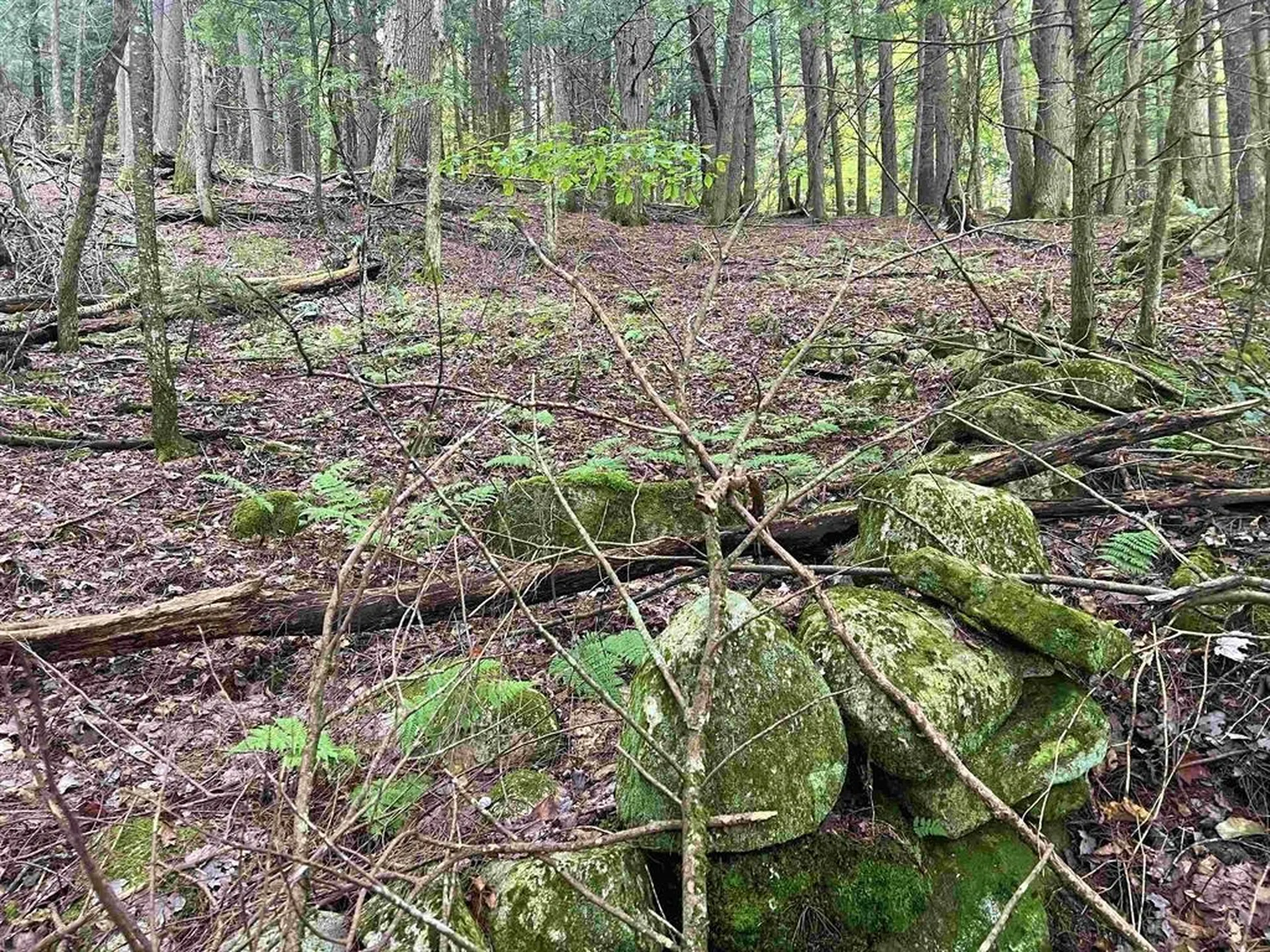 0 Kidder Road Bradford VT 05033