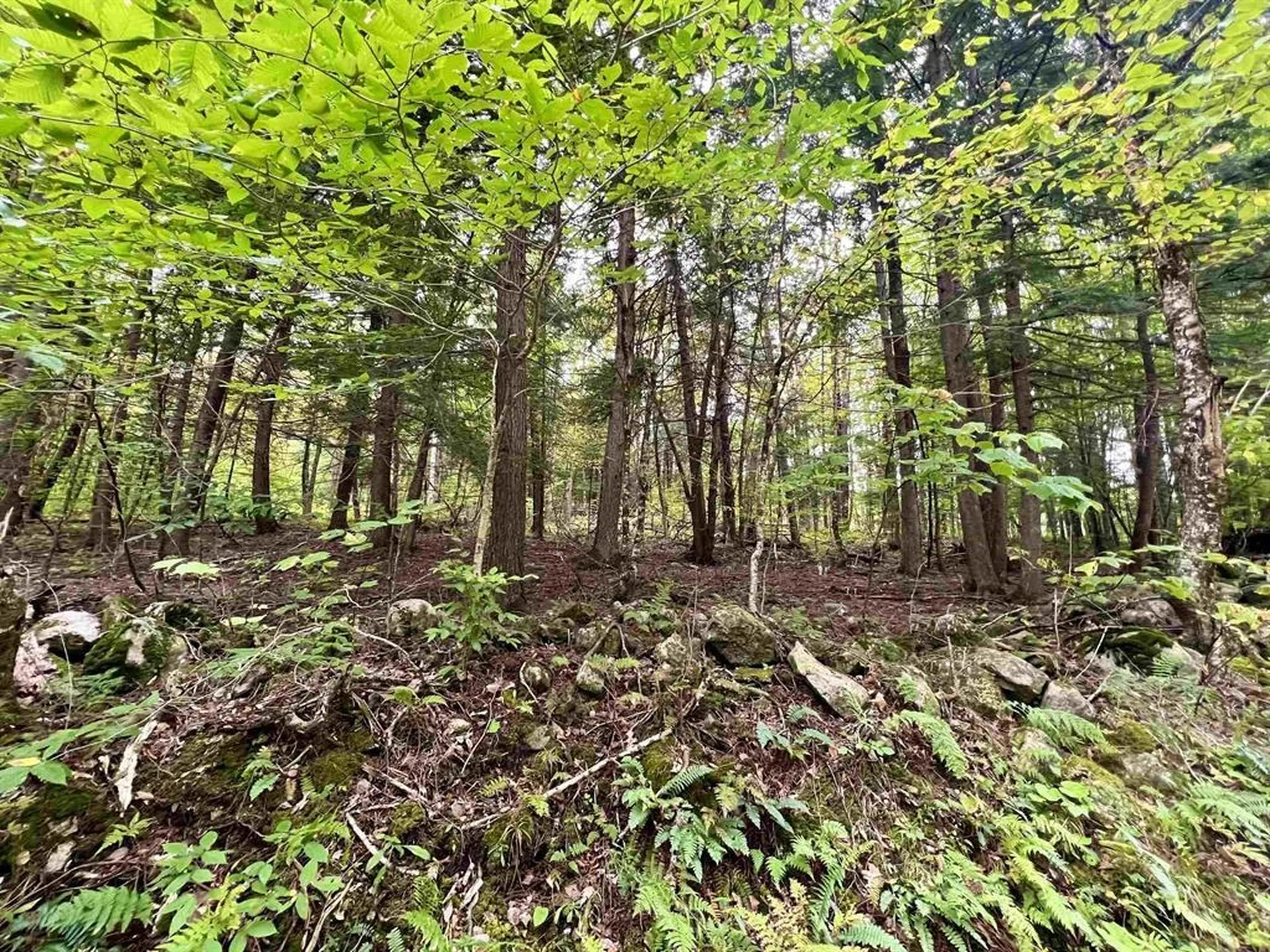 0 Kidder Road Bradford VT 05033